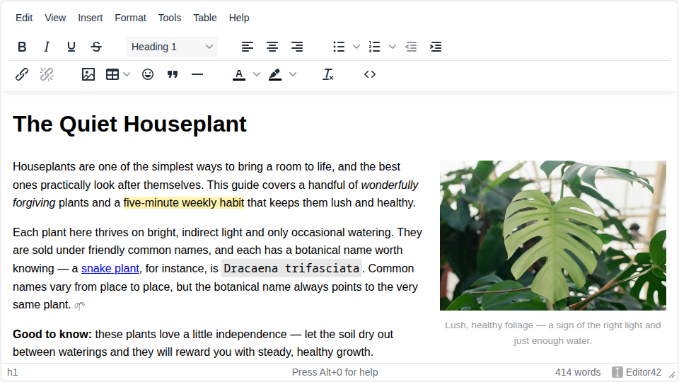 The Editor42 open-source WYSIWYG HTML editor