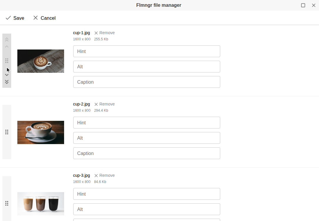 Managing the picked files: reorder them and edit their metadata