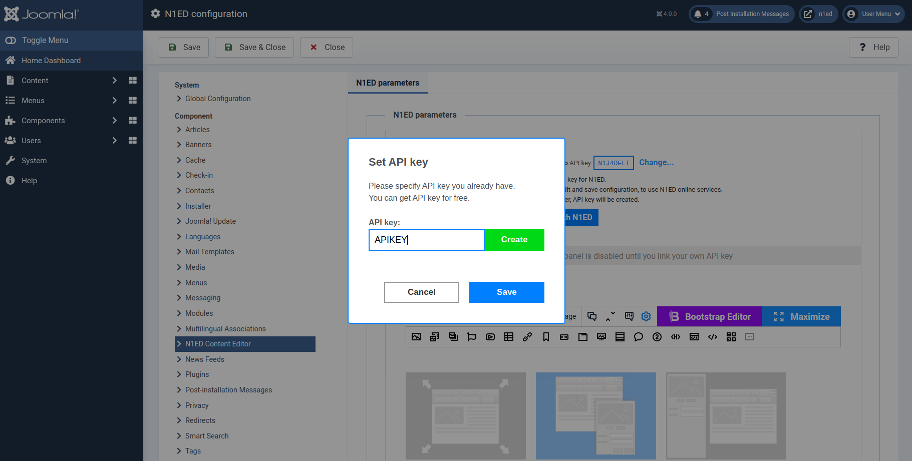 Set API key for N1ED